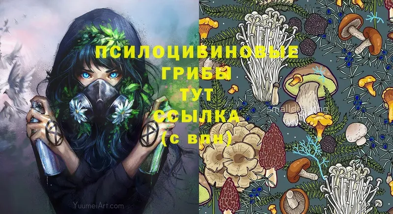 Псилоцибиновые грибы Psilocybe  дарнет шоп  Балабаново 