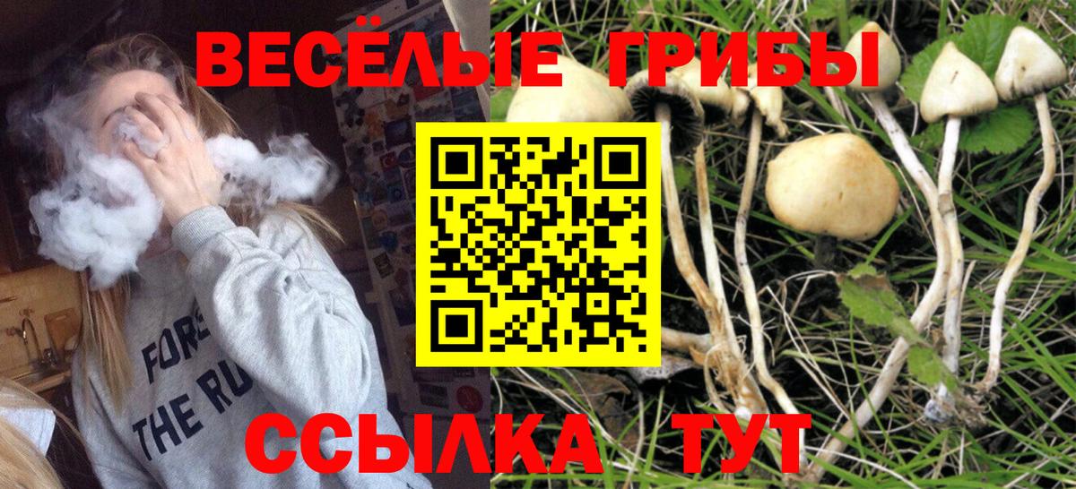 Псилоцибиновые грибы Magic Shrooms  Вход с VPN  Балабаново 